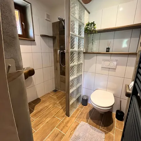Stary Mlyn Apartment